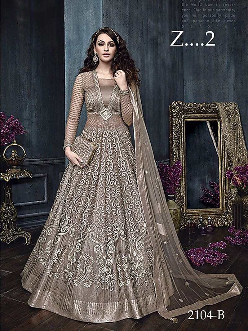 Silver Color Net Embroidered Circular Gown